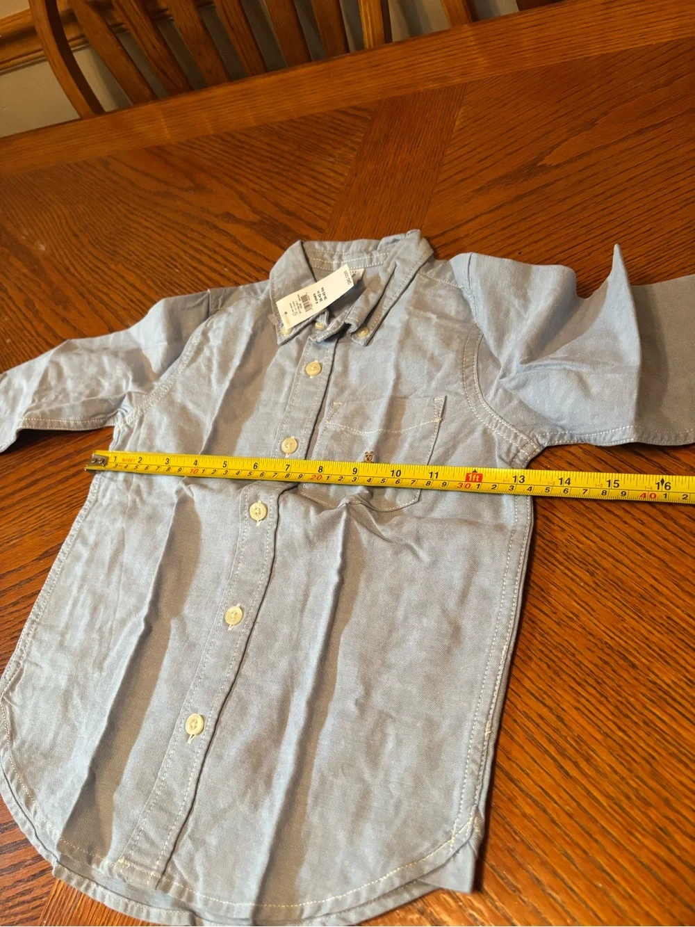 Baby Gap Toddler Boys 4 Years Light Blue Oxford Long Sleeve Button Down Shirt